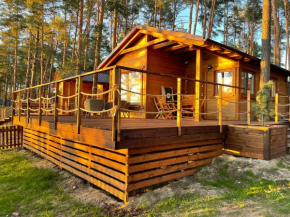 Domki Borsk - nowe, komfortowo wyposażone domki nad samym jeziorem Wdzydze w otoczeniu sosnowego lasu in Borsk